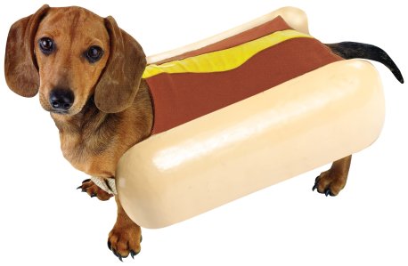hot-dog-dog-costume-1